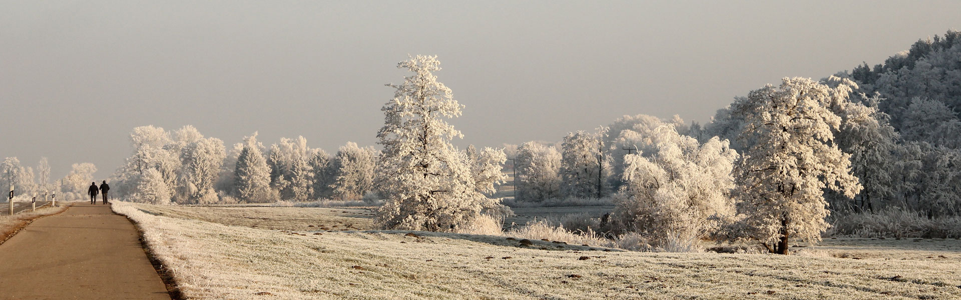 Header Gemeinde Schiltberg 004