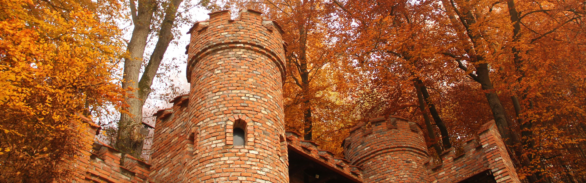 Header Gemeinde Schiltberg 005